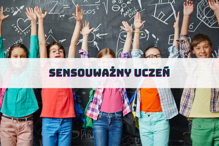 ZAJĘCIA 7 oferta zdjecia 21