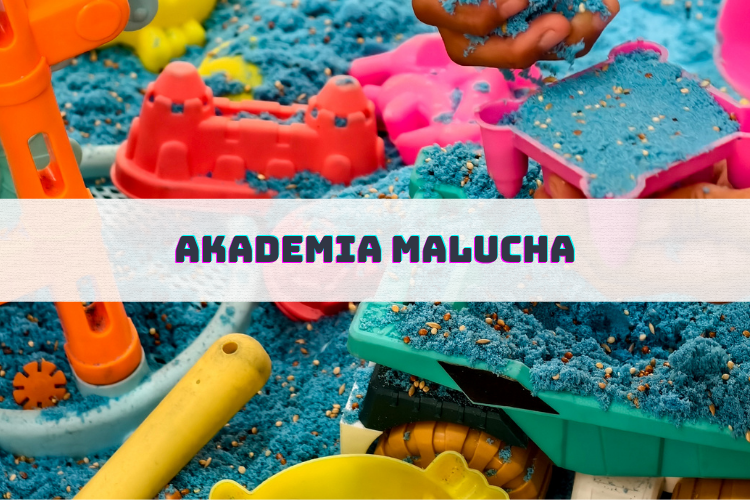 ZAJĘCIA 7 oferta zdjecia 79
