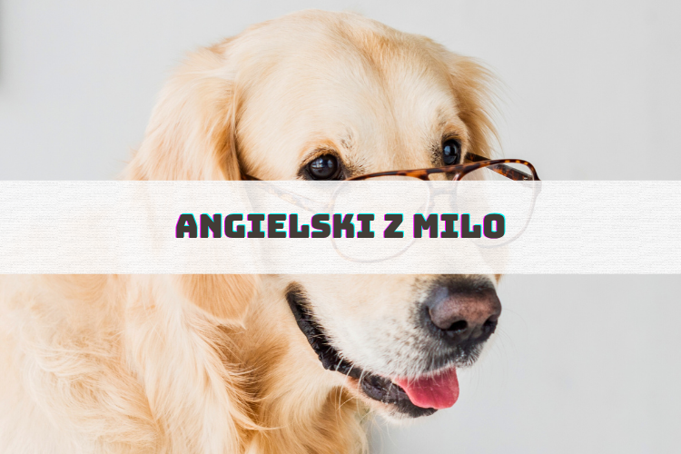 ZAJĘCIA 11 oferta zdjecia 82