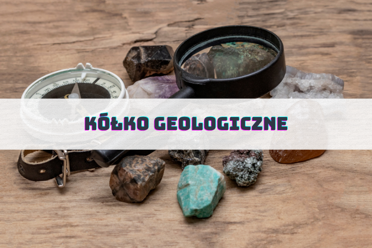 ZAJĘCIA 12 oferta zdjecia 83
