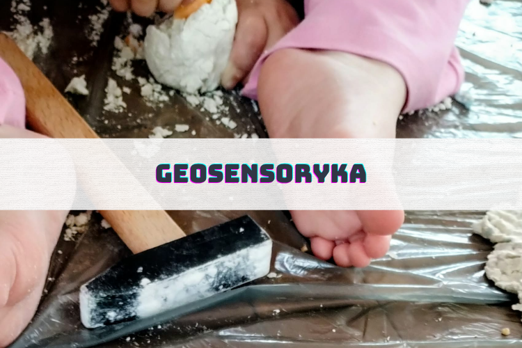 ZAJĘCIA 13 oferta zdjecia 84